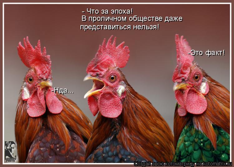 Котоматрица: - Что за эпоха! В проличном обществе даже представиться нельзя! -Это факт! -Нда...