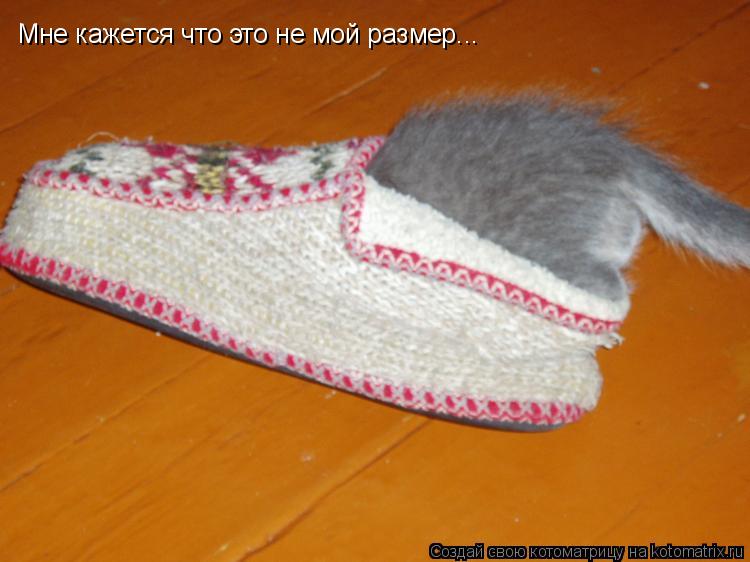 Котоматрица: Мне кажется что это не мой размер...