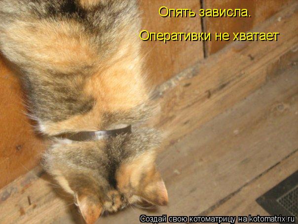 Котоматрица: Опять зависла. Оперативки не хватает