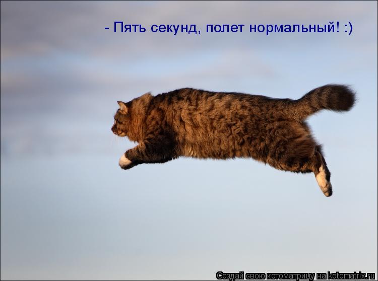 Котоматрица: - Пять секунд, полет нормальный! :)