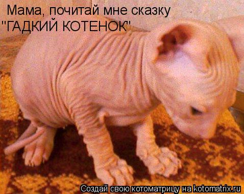 Котоматрица: Мама, почитай мне сказку  "ГАДКИЙ КОТЕНОК"