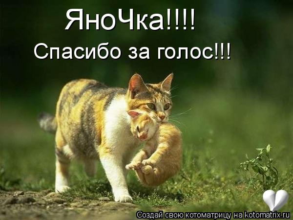 ЯноЧка!!!! Спасибо за голос!!!... Котоматрица: ЯноЧка!!!! Спасибо за голос!!!