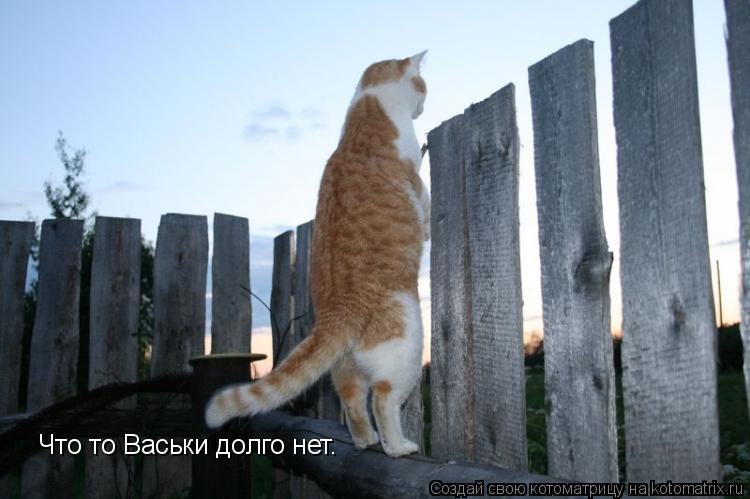 Что то Васьки долго нет.... Котоматрица: Что то Васьки долго нет.