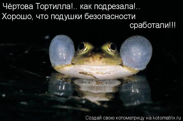 http://kotomatrix.ru/images/lolz/2009/01/23/L0.jpg