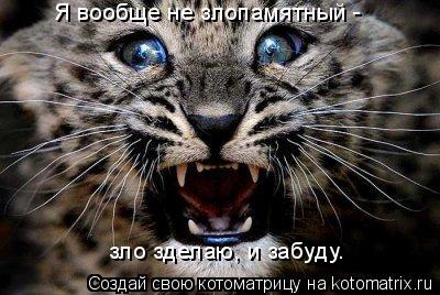 Я вообще не злопамятный - зло зделаю, и забуду.... Котоматрица: Я вообще не злопамятный - зло зделаю, и забуду.