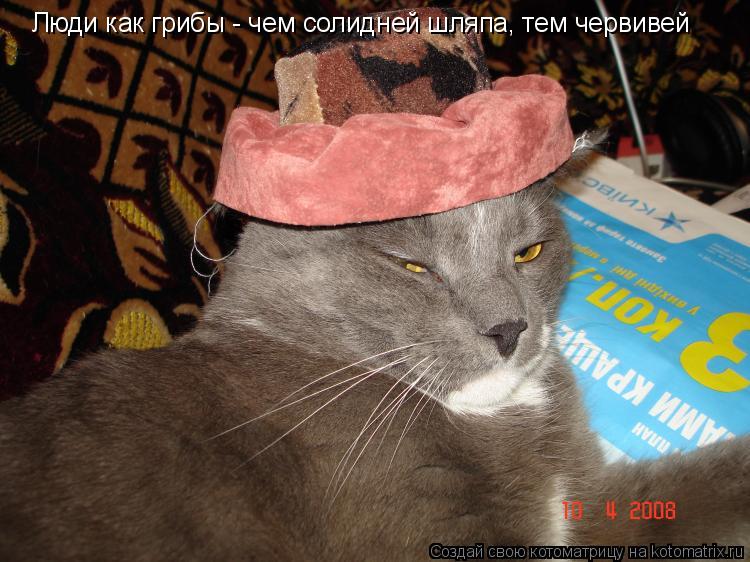 Люди как грибы - чем солидней шляпа, тем червивей... Котоматрица: Люди как грибы - чем солидней шляпа, тем червивей