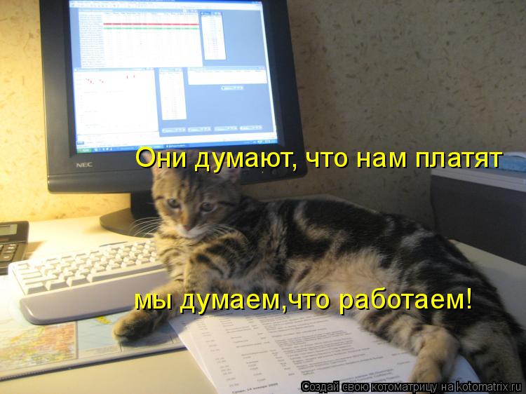 Котоматрица: Они думают, что нам платят мы думаем,что работаем!