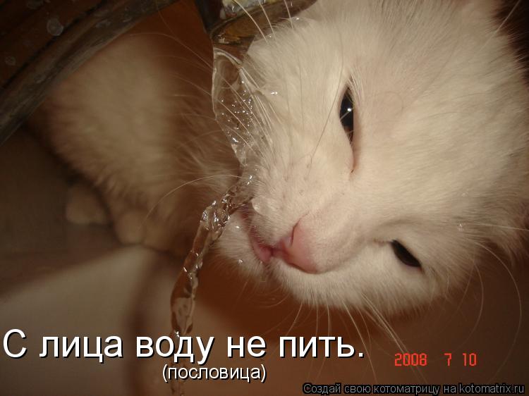 С лица воду не пить. (пословица)... Котоматрица: С лица воду не пить. (пословица)