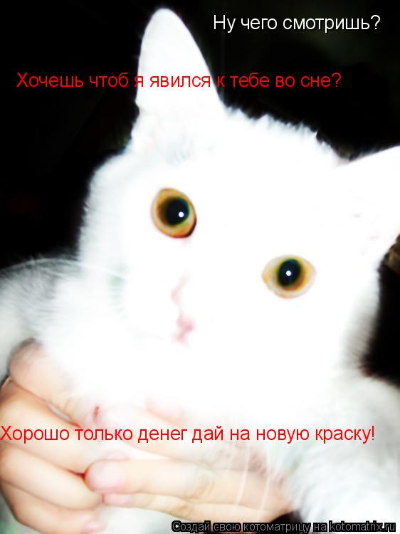 Котоматрица: Ну чего смотришь? Хочешь чтоб я явился к тебе во сне? Хорошо только денег дай на новую краску!