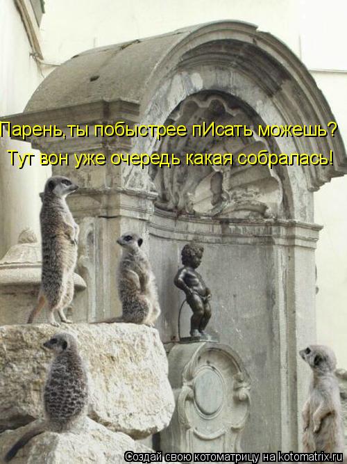 Котоматрица: Тут вон уже очередь какая собралась! Парень,ты побыстрее пИсать можешь?
