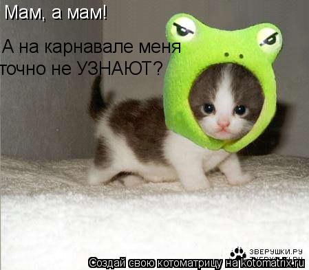 Мам, а мам! А на карнавале меня точно не УЗНАЮТ?... Котоматрица: Мам, а мам! А на карнавале меня точно не УЗНАЮТ?