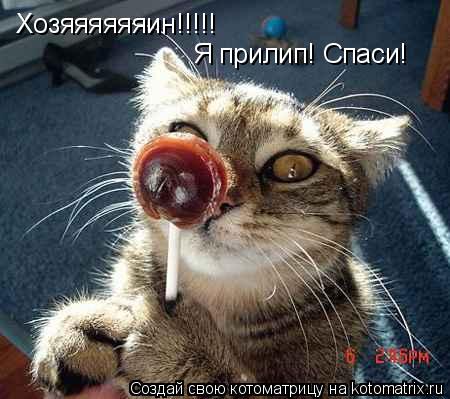 Котоматрица: Хозяяяяяяин!!!!! Я прилип! Спаси!