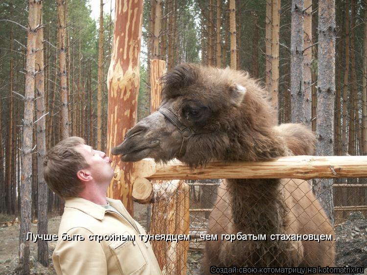 Лучше быть стройным тунеядцем , чем горбатым стахановцем.... Котоматрица: Лучше быть стройным тунеядцем , чем горбатым стахановцем.