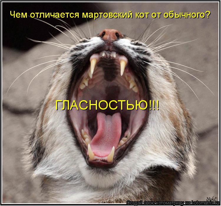 Чем отличается мартовский кот от обычного? ГЛАСНОСТЬЮ!!!... Котоматрица: Чем отличается мартовский кот от обычного? ГЛАСНОСТЬЮ!!!