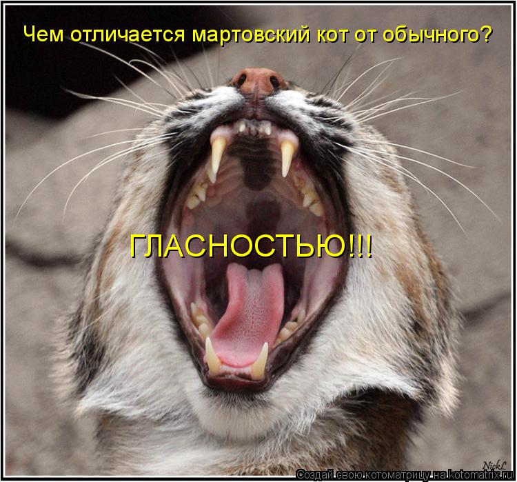 Котоматрица: Чем отличается мартовский кот от обычного? ГЛАСНОСТЬЮ!!!