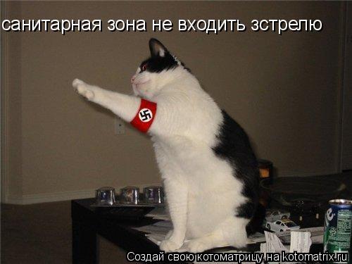 санитарная зона не входить зстрелю... Котоматрица: санитарная зона не входить зстрелю