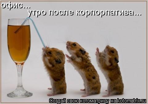 Котоматрица: офис... утро после корпорпатива...