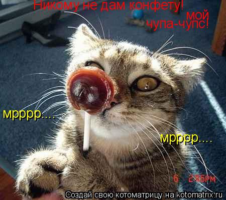 Никому не дам конфету! мой чупа-чупс! мрррр.... мрррр....... Котоматрица: Никому не дам конфету! мой чупа-чупс! мрррр.... мрррр....