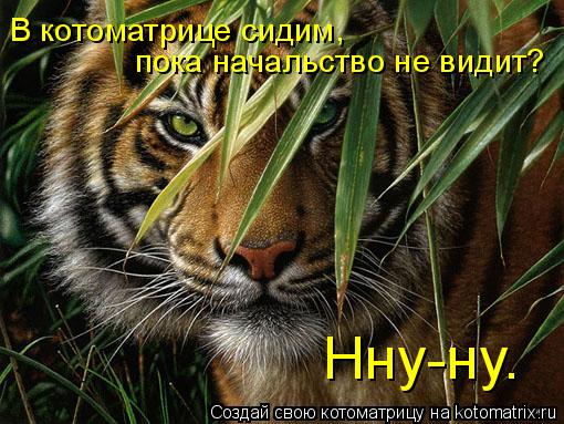 В котоматрице сидим, пока начальство не видит? Нну-ну.... Котоматрица: В котоматрице сидим, пока начальство не видит? Нну-ну.