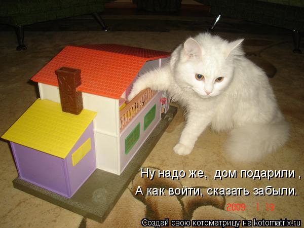 Ну надо же, дом подарили , А как войти, сказать забыли.... Котоматрица: Ну надо же, дом подарили , А как войти, сказать забыли.