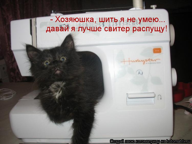 - Хозяюшка, шить я не умею... давай я лучше свитер распущу!... Котоматрица: - Хозяюшка, шить я не умею... давай я лучше свитер распущу!