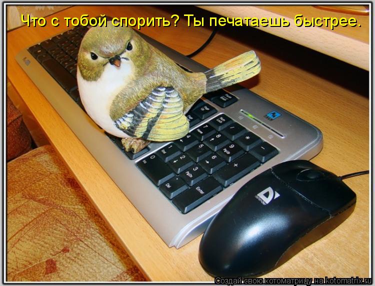 Что с тобой спорить? Ты печатаешь быстрее.... Котоматрица: Что с тобой спорить? Ты печатаешь быстрее.