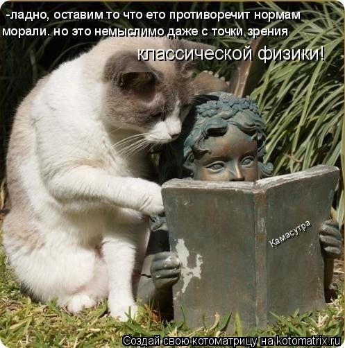 Камасутра -ладно, оставим то что ето противоречит нормам морали. но это немыслимо даже с точки зрени... Котоматрица: Камасутра -ладно, оставим то что ето противоречит нормам морали. но это немыслимо даже с точки зрения классической физики!