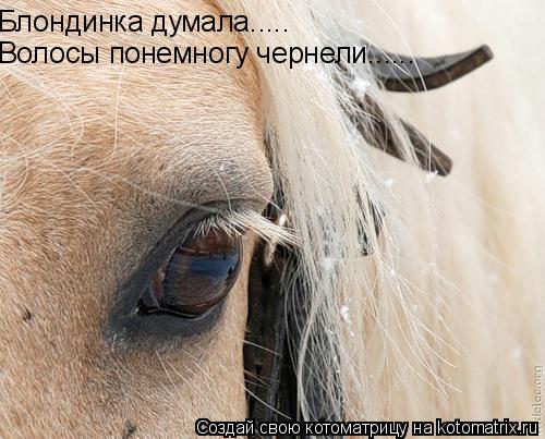 Котоматрица: Блондинка думала..... Волосы понемногу чернели......