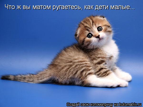 Что ж вы матом ругаетесь, как дети малые...... Котоматрица: Что ж вы матом ругаетесь, как дети малые...