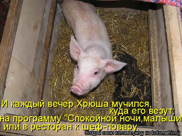 И каждый вечер Хрюша мучился, куда его везут: на программу "Спокойной ночи,малыши" или в ресторан к ш... Котоматрица: И каждый вечер Хрюша мучился, куда его везут: на программу "Спокойной ночи,малыши" или в ресторан к шеф-повару.