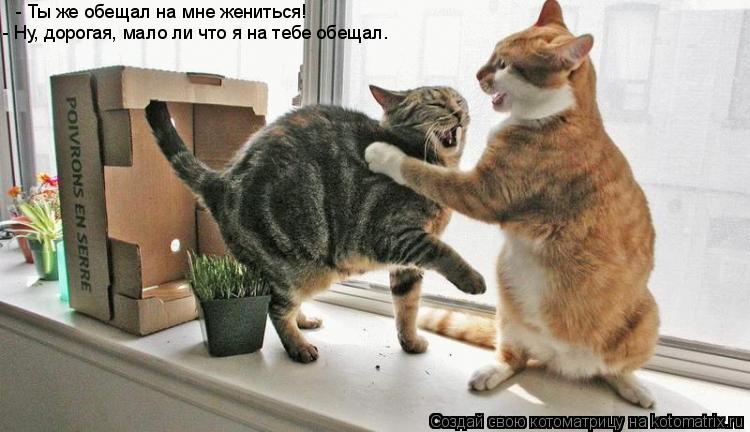 - Ты же обещал на мне жениться! - Ну, дорогая, мало ли что я на тебе обещал…... Котоматрица: - Ты же обещал на мне жениться! - Ну, дорогая, мало ли что я на тебе обещал…