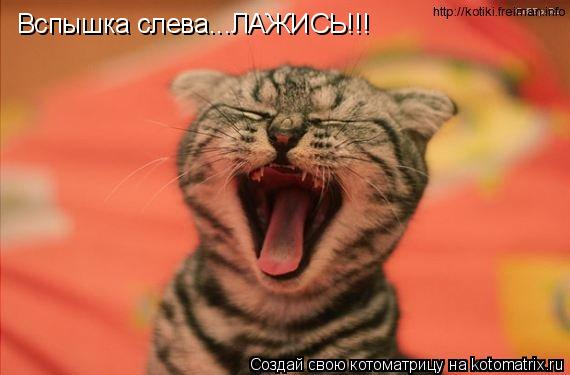 Котоматрица: Вспышка слева...ЛАЖИСЬ!!!