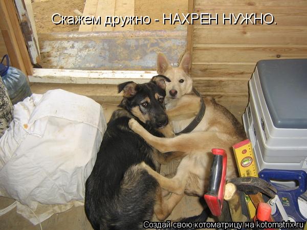 Котоматрица: Скажем дружно - НАХРЕН НУЖНО.