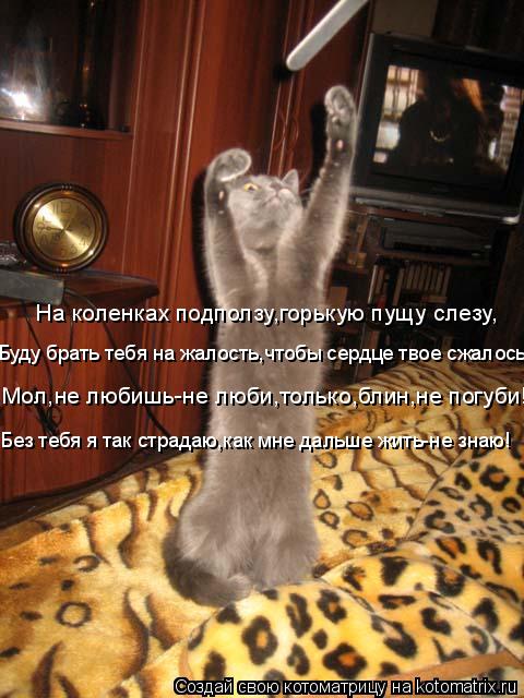 Котоматрица: На коленках подползу,горькую пущу слезу, Буду брать тебя на жалость,чтобы сердце твое сжалось- Мол,не любишь-не люби,только,блин,не погуби! Б