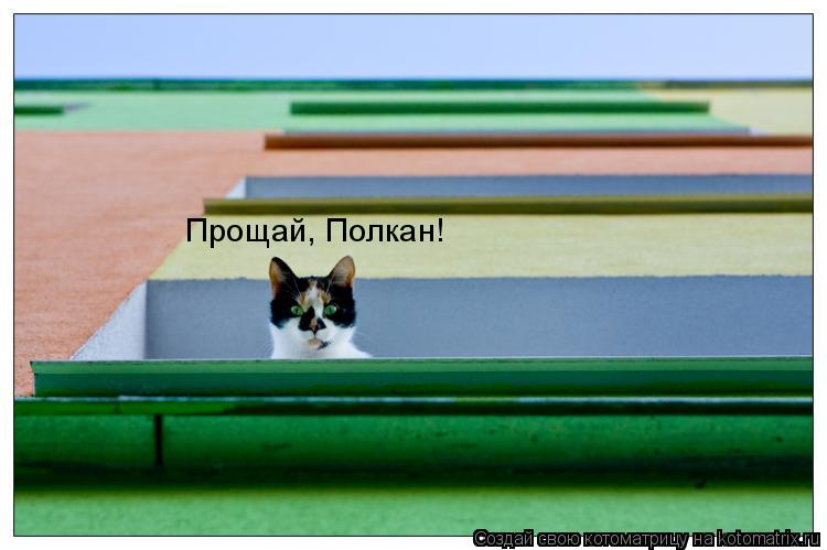 Котоматрица: Прощай, Полкан!