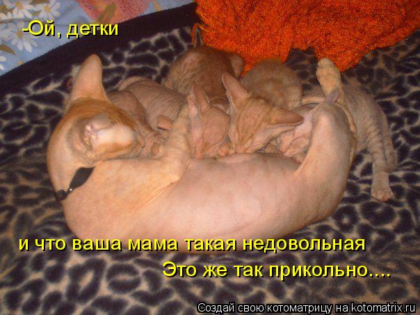 -Ой, детки и что ваша мама такая недовольная Это же так прикольно....... Котоматрица: -Ой, детки и что ваша мама такая недовольная Это же так прикольно....