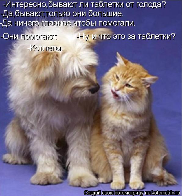 Котоматрица: -Интересно,бывают ли таблетки от голода? -Да,бывают,только они большие. -Да ничего,главное,чтобы помогали. -Они помогают.        -Ну, и что это за 