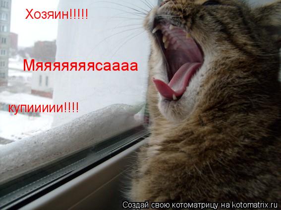 Хозяин!!!!! Мяяяяяяясаааа купиииии!!!!... Котоматрица: Хозяин!!!!! Мяяяяяяясаааа купиииии!!!!