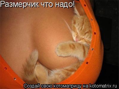 Размерчик что надо!... Котоматрица: Размерчик что надо!