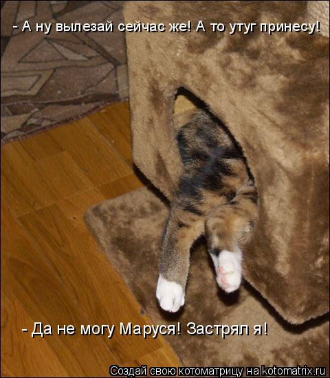- А ну вылезай сейчас же! А то утуг принесу! - Да не могу Маруся! Застрял я!... Котоматрица: - А ну вылезай сейчас же! А то утуг принесу! - Да не могу Маруся! Застрял я!