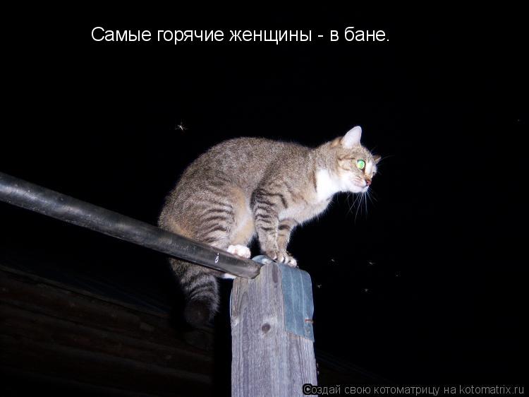 Котоматрица: Самые горячие женщины - в бане.