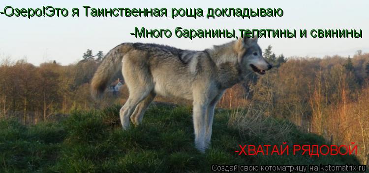 Котоматрица: -Озеро!Это я Таинственная роща докладываю -Много баранины,телятины и свинины -ХВАТАЙ РЯДОВОЙ
