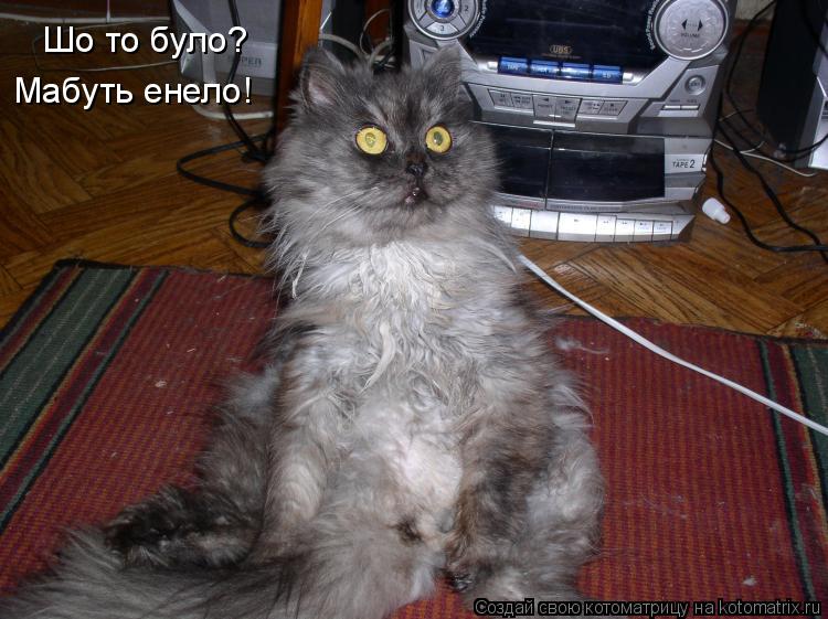 Котоматрица: Шо то було? Мабуть енело!