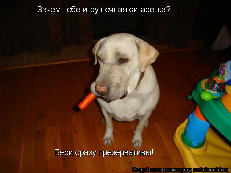 Зачем тебе игрушечная сигаретка? Бери сразу презервативы!... Котоматрица: Зачем тебе игрушечная сигаретка? Бери сразу презервативы!