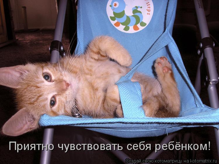 Приятно чувствовать себя ребёнком!... Котоматрица: Приятно чувствовать себя ребёнком!