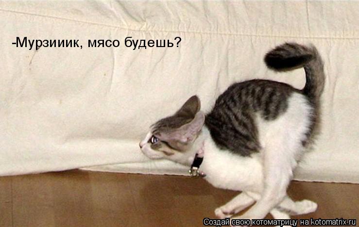-Мурзииик, мясо будешь?... Котоматрица: -Мурзииик, мясо будешь?