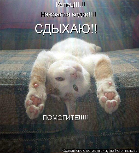 Капец!!!!!! Нажрался водки!!!! СДЫХАЮ!! ПОМОГИТЕ!!!!!... Котоматрица: Капец!!!!!! Нажрался водки!!!! СДЫХАЮ!! ПОМОГИТЕ!!!!!