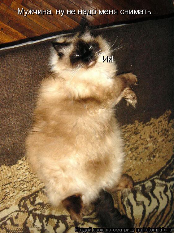 Котоматрица: Мужчина, ну не надо меня снимать... Ик!