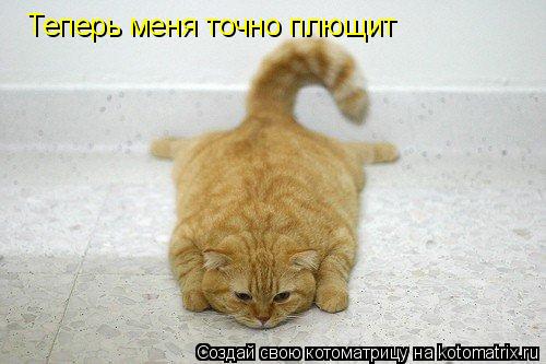 Теперь меня точно плющит... Котоматрица: Теперь меня точно плющит