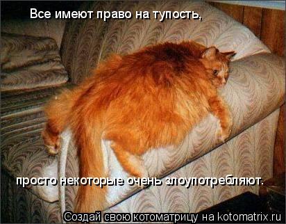 Все имеют право на тупость, просто некоторые очень злоупотребляют.... Котоматрица: Все имеют право на тупость, просто некоторые очень злоупотребляют.